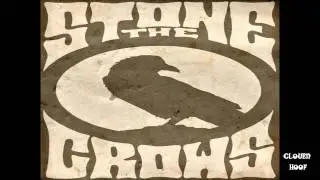 Stone The Crows 