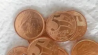 5  CENTAVOS 2025  FLOR  DE CUNHO . DATA VAZADA.