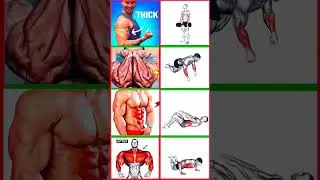 #fullbody👉#workout💪#fitness💯#forarms😎#xseries😎#abs💯#workout😈#trending 🔥#vairalshort