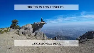 Hiking Cucamonga Peak - Angeles National Forest