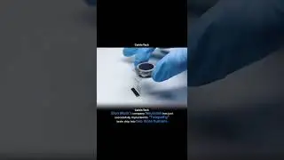 🚀 Neuralink&rsquo;s &ldquo;Telepathy&rdquo; Brain Chip | Elon Musk&rsquo;s Next Big Step