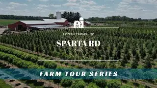 Ohio grows how many trees?! Acorn Farms Inc. - Farm Tour Series