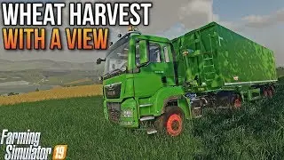 WHEAT HARVEST AND A SURPRISE! | PeterVill FS19