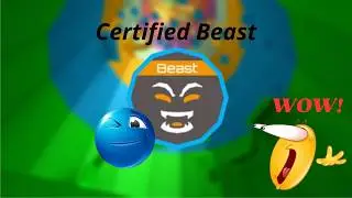 The Tower of Hell completion (Certified Beast) 330 stages UHBL (Ultra hard badge list)