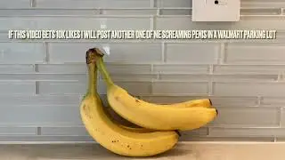 If this video gets 10K likes I will scream penis in Walmart