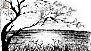 Romantic Pencil Drawing | Two Birds in Love on a Tree Branch at Sunset ❤️🌅
