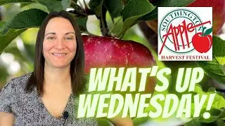 Southington Apple Harvest Festival - Things To Do In Connecticut This Week