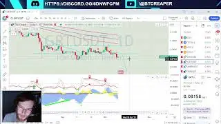 Immutable X AWS, Caroline Ellison, CrypToadz NFT -EP366 10/10/23 #crypto #technicalanalysis