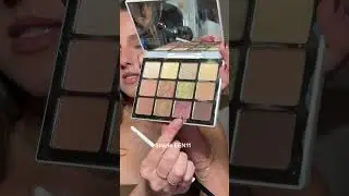 How&rsquo;d I do? Using the Ethereal Eyes II palette + eyeliner in perfect brown + master mascara black