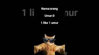 11 Januari 2026