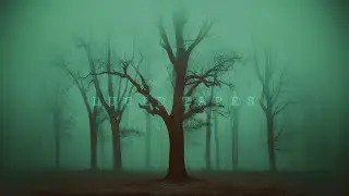 ＹＯＵ　ＡＲＥ　ＩＮ　ＡＮＯＴＨＥＲ　ＷＯＲＬＤ，ＢＵＴ　ＹＯＵ　ＡＲＥ　ＮＯＴ　ＡＬＯＮＥ