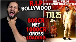 Pushpa 2 Create Shocking History - Hindi Version Official Box Office Collection | Pushpa 2 The Rule
