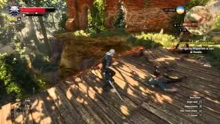 The Witcher 3: Wild Hunt fatality