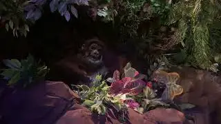 THUNDERSTORM AT RAINFOREST CAFE