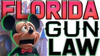 Florida Gun Law 2025, NEED TO KNOW YOUR RIGHTS!