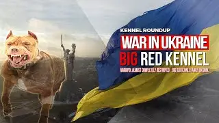 War in Ukraine Mariupol almost completely destroyed - Kennel Roundup Big Red Kennel Family Ukraine