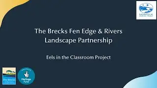 Eels in the Classroom Project | Norfolk Rivers Trust