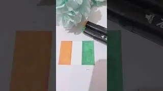 🇨🇮 Ivory Coast&rsquo;s Flag Secret Will Surprise You 😱 | World Flags 11
