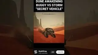 THE BUGGY VS SANDSTORM 
