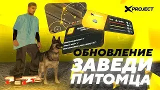 БОЛЬШОЕ ОБНОВЛЕНИЕ НА X-PROJECT RP ! ЗАВЕДИ СЕБЕ СОБАКУ В ИГРЕ ! MTA