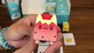 RatoKim Box Cat Unboxing