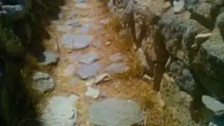 Gournia. In cerca della dea.