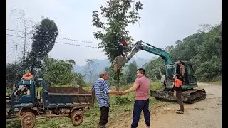 Excavators level the soil to provide a foundation for people in the mountains And the truck drivers