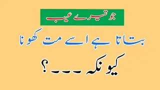 Jo tere aib batata hai usse mat khona | Urdu Emotional Quotes | #urduadabsk 
