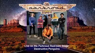 Destructive Penguins Live Parkroad Stage 2019.04.17