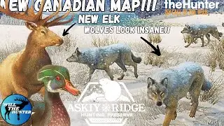 Askiy Ridge Canada!! New Elk Species, Reworked Animals + More | TheHunter Call Of The Wild