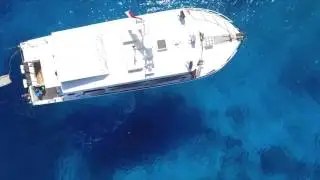 Surf Indonesia, Pelagic Surf Charter presented by LUEX.com