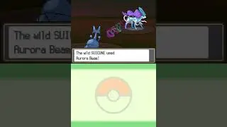 Pok&eacute;mon World - Kanto - Route 25: Ethan vs. Suicune
