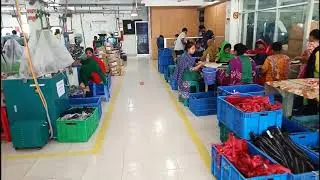 NEO Factory& Work Process