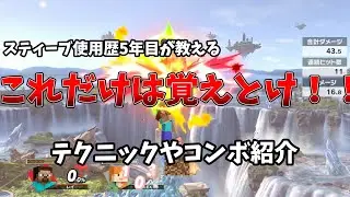 とりまこれだけは覚えとけ！！スティーブテクニック解説