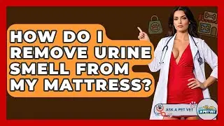 How Do I Remove Urine Smell From My Mattress? - Ask A Pet Vet