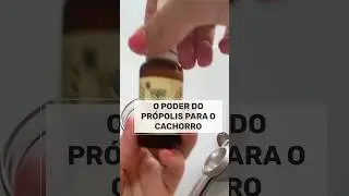 ANTIBI&Oacute;TICO NATURAL PARA CACHORRO DOENTE