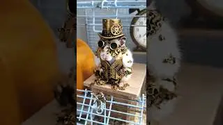 #hamster #hamsters #hampter #steakwad #steak #pet #pets #cool #steampunk