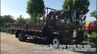 Howo 4x2 light duty cargo truck off the production line for Zambia customer