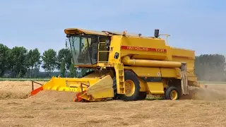 New Holland TX 34 - graszaad dorsen