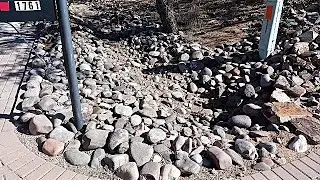 Part 1 building a swale landscape project for my neighbor Heinz in Green Valley AZ 09302025