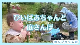 【SechuRadio】ひいばあちゃんと庭さんぽ☀️【春日和】