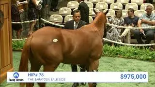 Justify colt o/o Slews Golden Rule sells for $1,100,000 at The Saratoga Sale (2022)