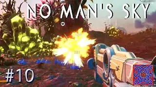 Миссия выходного дня: Сборщик костей :: Геймплей выживания в No Man's Sky Trader: #10