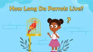 How Long Do Parrots Live? | Parrot Facts | Parrot Facts For Kids | Fun Animal Facts For Kids