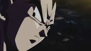 Vegeta Tribute