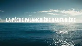 LA P&Ecirc;CHE PALANGRI&Egrave;RE HAUTURI&Egrave;RE