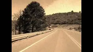 Fuck them all - the garden abides (Music Video)
