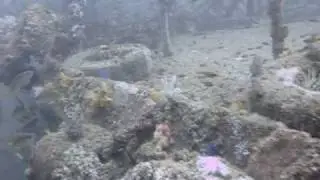 Freestyle Divers - Inchcape One