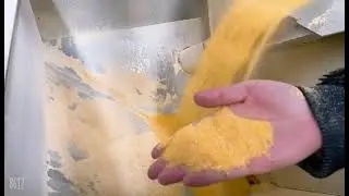 5-8 tons per day maize flour milling machine.  Henan Taixing Grain&Oil machinery
