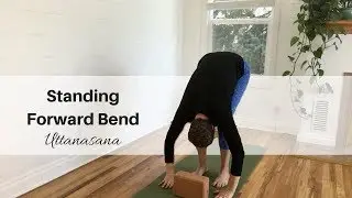 Standing Forward Bend - Uttanasana - Proper Pain Free Alignment